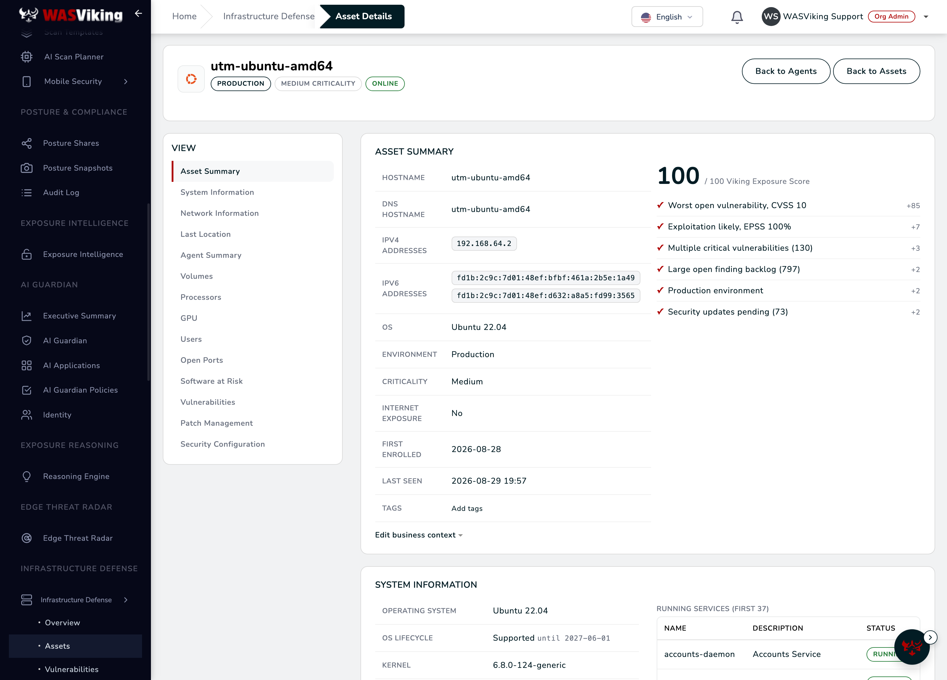 Asset detail with the Viking Exposure Score and its named factors, host identity and business context
