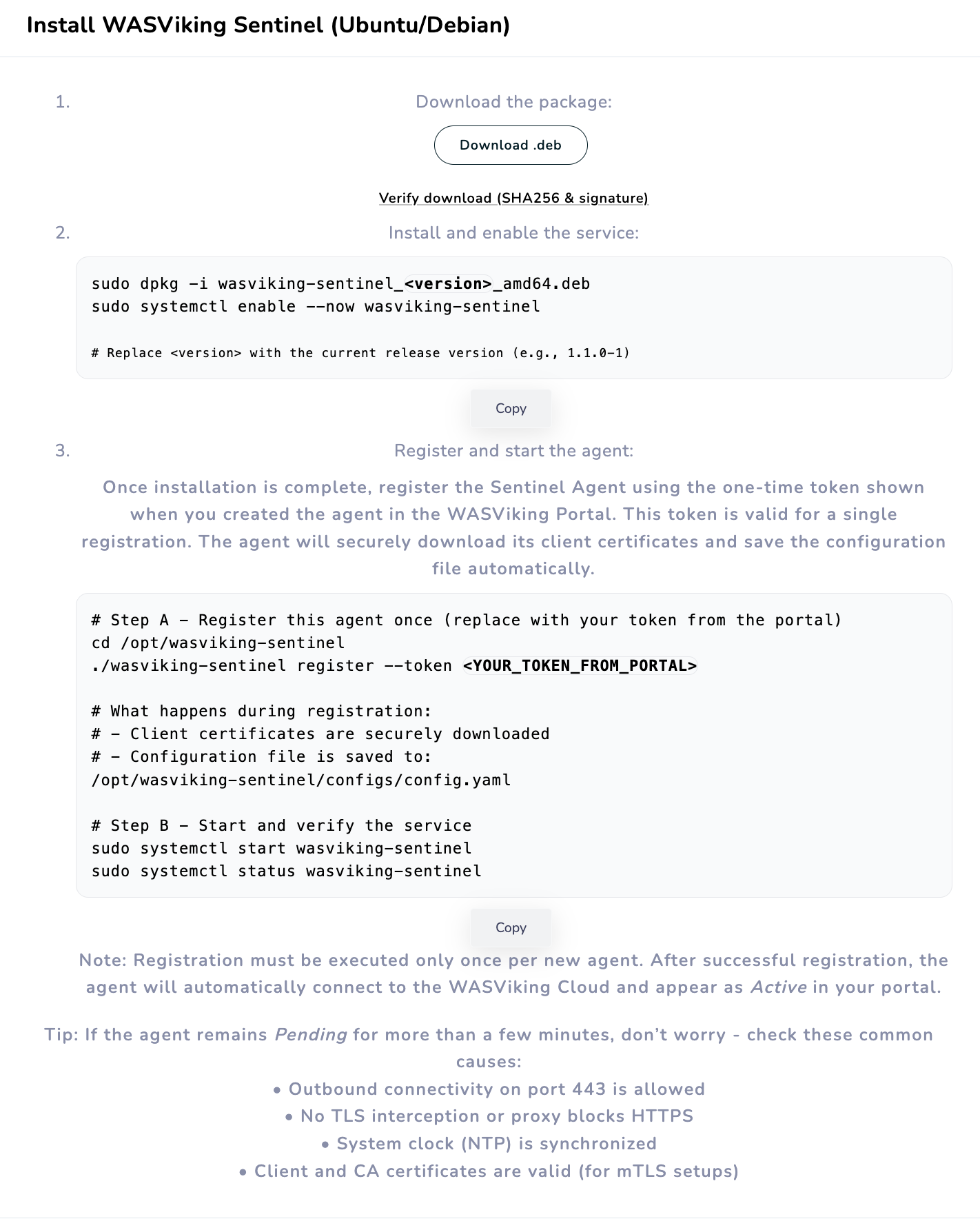 Install WASViking Sentinel instructions with the download, install, and register commands